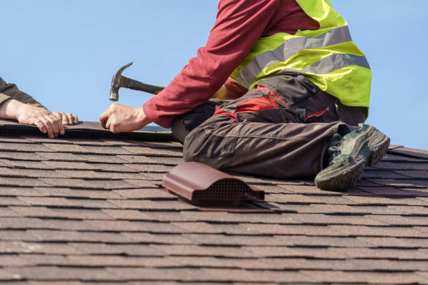 Roof Gutter Cleaning in Richwood, NJ